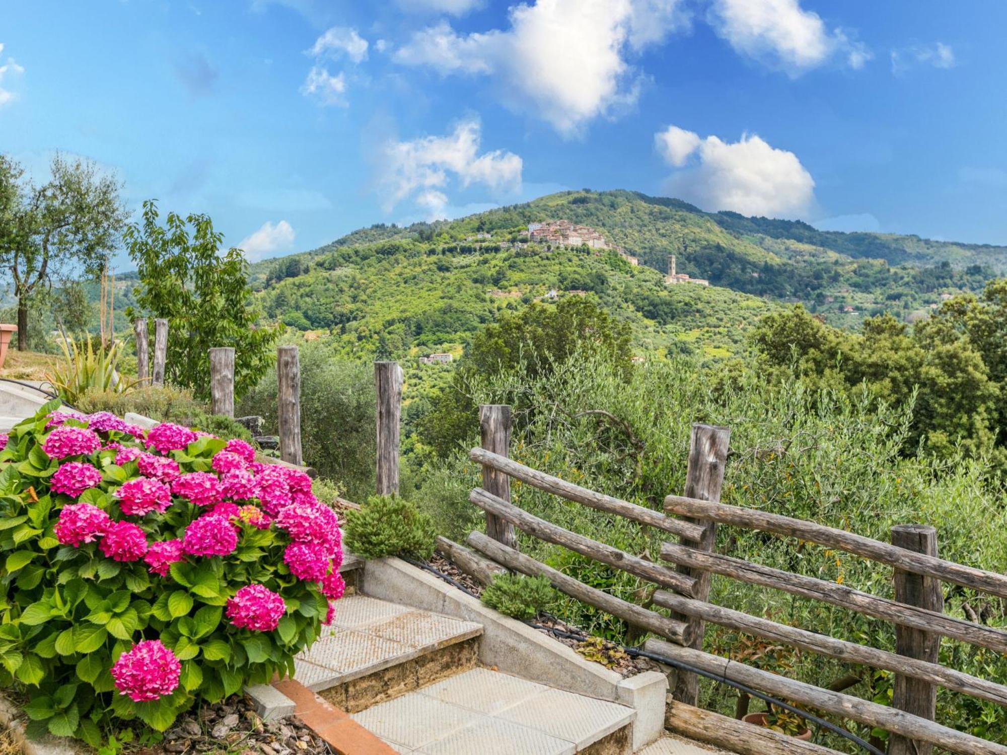 Holiday Home Poggetto Pellegrini By Interhome Vellano 外观 照片
